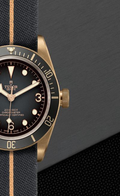 Black Bay Bronze